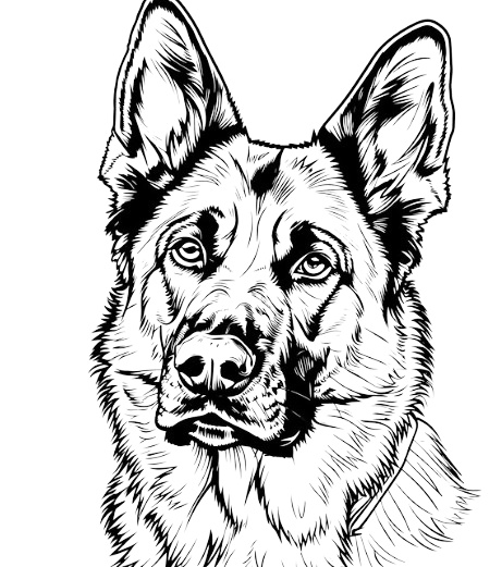 chien_cynophile-04-14_112311-removebg-preview chien_cynophile
